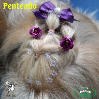 Lugar de Bicho - Consultório Veterinário, Estética Pet, Pet Shop foto 3